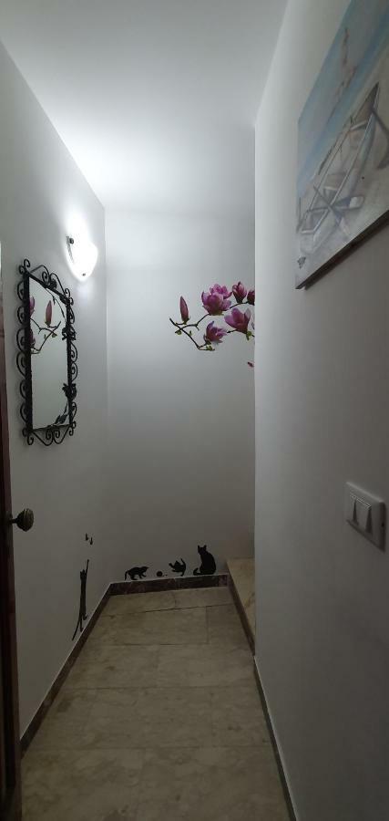 卡斯泰尔莫拉Casa Enrico公寓 外观 照片
